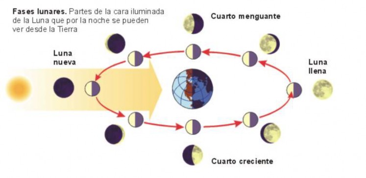 Fases de la Luna